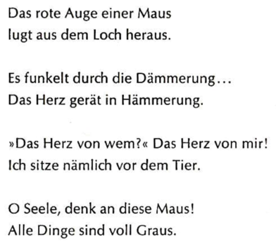 05_das-auge-der-maus.png