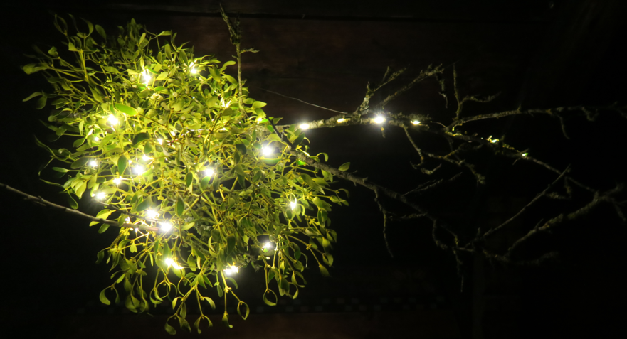 advent.png advent.png